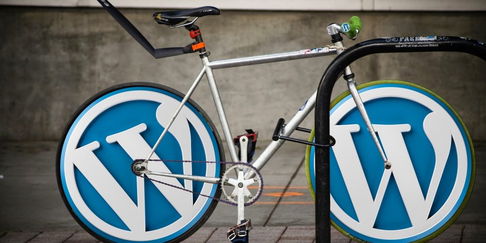 WordPress pro začátečníky – online workshop