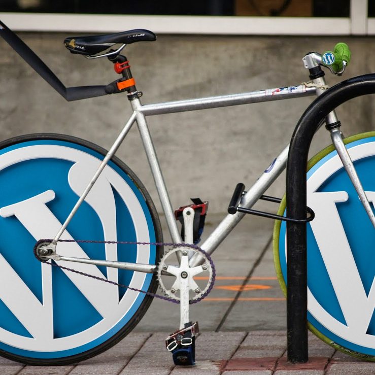 WordPress pro začátečníky – online workshop