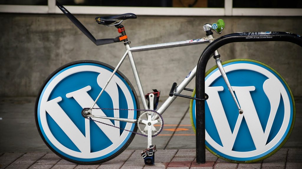 wordpress kurz